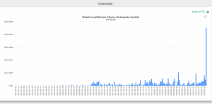 途上国ビットコイン個人間取引量10倍に急拡大 規制強化の中でも仮想通貨需要は未だ高く