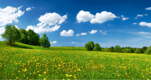 「今回の仮想通貨の冬はそれほど厳しくはない」米大手仮想通貨ファンドCEO｜転換期のカギに言及