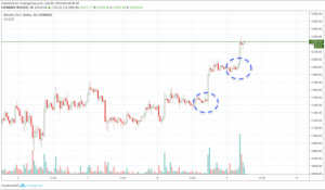 前日比7%上昇のBTC｜「ビットコインは次の価格調整まで3万ドルに」大手投資ファンドCEO