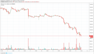 ビットコイン 1万ドル割り、安全資産性に陰りか｜有識者が見解を述べる