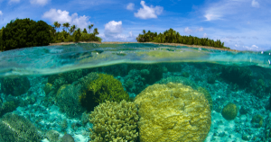 マーシャル諸島のデジタル法定通貨「SOV」、年内発行予定に向けて3つの重要決定