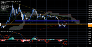 地合い好転のビットコイン（BTC）、ファンダ要因と複数のシグナル｜仮想通貨市況