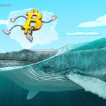 ビットコインのクジラが増加傾向、「価格変動の要因になる」と警戒の声も【仮想通貨相場】