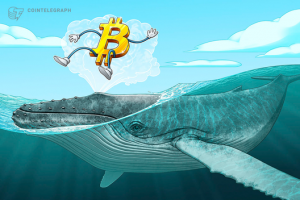 ビットコインのクジラが増加傾向、「価格変動の要因になる」と警戒の声も【仮想通貨相場】