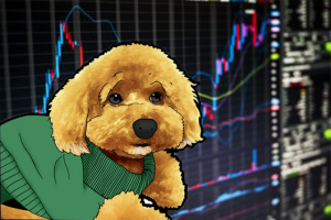 ビットコインの底値を的中した男が語る、ビットコインの一旦の天井【仮想通貨相場分析】