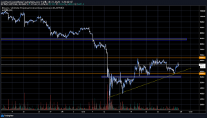 コロナショックからの中国景気指数上昇で株高、ビットコイン市場も「悲観論」後退へ