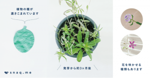 おやつの定期便スナックミー、容器がトウモロコシ主原料に