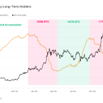 ビットコイン長期保有者が過去最高記録更新 - 強気相場の新たなシグナルを読み解く