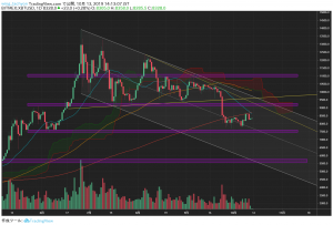 低調なレンジ相場続くビットコインと反発の兆しを感じるリップル｜仮想通貨市況（タキオン）
