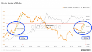 ビットコイン大口保有者、18年以来2年ぶりの高水準に