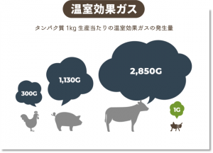 タンパク質豊富な食用コオロギを使った「こおろぎラーメン」