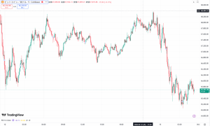 ビットコインは、一時6万5100ドルまで下落 ARK Investの暗号資産関連株買いに注目