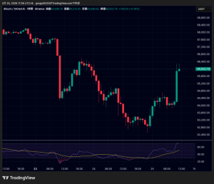 ビットコイン価格6万6000ドル回復、イーサリアム・リップルも反発｜仮想通貨下落一服か