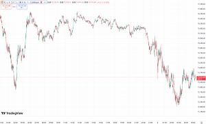 ビットコイン、一時急落後に反発 乱高下続く7万3000ドル攻防戦 BTC7万ドル割れ予想82%に注目