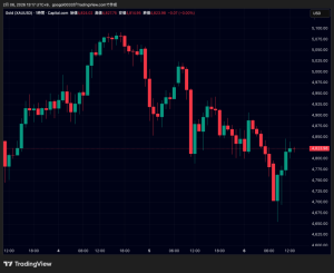 金（ゴールド）4700ドル台・ビットコインは6万ドルまで暴落｜下落後の値動きに明暗
